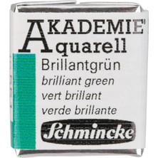 Schmincke Akademie Aquarell Yarım Tablet Sulu Boya 551 Brilliant Green