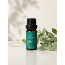 Profondeur Okaliptus Uçucu Yağı %100 Saf 10 ml