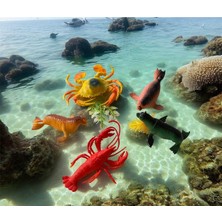 5 Parça Okyanus Hayvan Seti Büyük BOY(8-10CM)