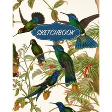 Bird Sketchbook: Aesthetic Doodles & Drawings Notebook | Vintage Hummingbirds Illustrated Cover | Drawing Pad | Large Journal With Blank Pages For Drawing, Sketching, Journaling, And Doodling
