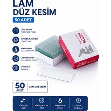 Labolist Lam  Düz Kesim  50 Adet