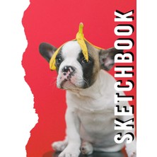 Sketch Book: Notebook For Drawing, Writing, Painting, Sketching Or Doodling