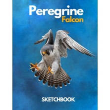Peregrine Falcon Sketchbook Large Sketchbook For Drawing 8.5 x 11 Inch (21.59 x 27.94 Cm) 150 Pages: Peregrine Falcon Blank Journal & Blank Notebook , Sketch,draw & Doodle