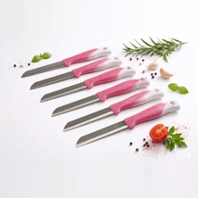 Solingen Meyve Bıçağı 6’li Set