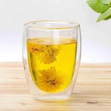 Çift Cidarlı Borosilikat Cam Kupa, Şeffaf, 350ML, Kulpsuz,