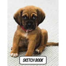 Sketch Book: Notebook For Drawing, Sketching, Doodling, & Writing With Unlined Blank White Pages