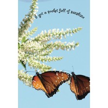 Butterfly Planner: A Planner With Butterflies On It's Cover