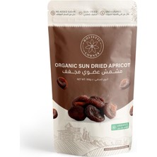 Holistic Corner Organic Sun-Dried Apricot Kuru Kayısı | 100G