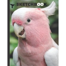 Sketchbook: Parrot And Pink Triangle Cover. Large Sketchbook Perfect For Every Talented Creative Artist... 109 Blank Pages ( 8.5" x 11).