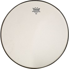 Remo SA-0014-SS- Trampet Ambassador Renaissance 14INC Deri