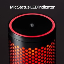 Esranın Dünyası Mikrofonlu Oyun Için Yüksek Kalite Ses Performansı