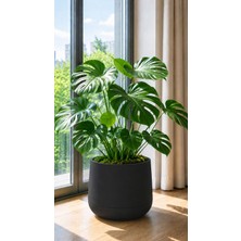 Poliva Home Atlas Saksı 7 Litre Büyük Boy Dekoratif Saksı 32 cm Iç Dış Mekan Çiçek ve Bitki Saksısı