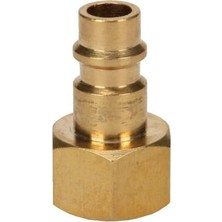 Orijinal  Hortum Rekoru R3/8 6 mm (Dişi) (Kompresör Aksesuarı, Pirinçten, Çeşitli Hava Basınçlı Bağlantılara Uygun) - 4139645