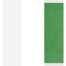 Walker Tape Easy Green™ Protez Saç Bandı (Düz (''1 x 3'' - 2.5cm x 7.5cm))