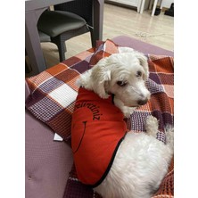 Monopetz Yeni Sezon Köpek ve Kedi Kıyafeti - Kırmızı Beni Siz Delirttiniz Xl Beden