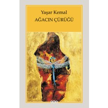 Renas Store Ağacın Çürüğü