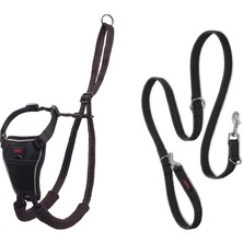 Halti No Pull Yemek Takımı ve Antrenman Tasması Kombi Paket, Stop Dog Pulling On Walks With Halti, Includes Medium Halti No Pull Harness And Double End Lead