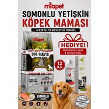 Miapet Somonlu Yetişkin Köpek Maması 12 kg