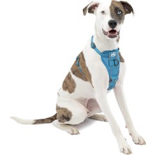 Kurgo Köpek Koşum Takımı | Pet Walking Koşum Takımı | No Pull Koşum Ön Klips Fonksiyonu Antrenman Için | Araç Emniyet Kemeri | Tru-Fit Hızlı Kilit Tarzı | Orta | Mavi
