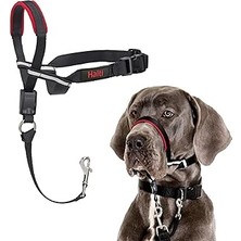 Company Of Animals Halti Optifit Ağızlıklı Tasma, Büyük Boy Siyah