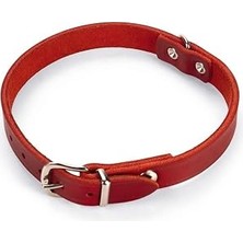 Karlie Deri Boyun Tasma 47 Cm-18 mm Kırmızı