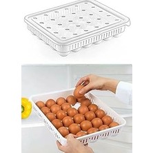 Deconox 30'lu Kapaklı Yumurta Saklama Kabı, Akrilik Plastik Yumurta Saklama Kabı, 30'lu Yumurtalık 681