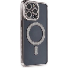 Bezos Pro Joke Simli Magneticsafe - Gri