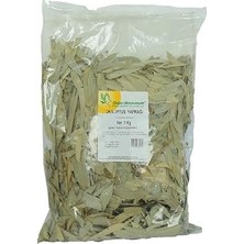 Doğan Okaliptus Yaprağı Doğal 1000 gr Paket