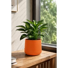 Poliva Home Atlas Saksı 4 Litre Dekoratif Çiçek Saksısı 27 cm Modern Saksı Iç ve Dış Mekan Bitki Saksısı