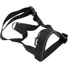Renas Store Pawise Dog Padded Muzzle, Size 2 Bez Ağızlık