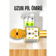 Pazarcan Karaoke Mikrofon USB Aux Girişli, Yüksek Ses Kalitesi