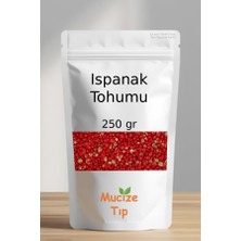 Mucize Tıp Ispanak Tohumu Dökme 250 gr