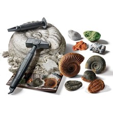 Renas Store Mey Ithalat® 64336 Bilim ve Oyun - Fosiller ve Mineraller Kazı Seti