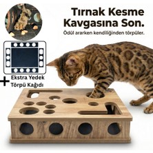 Kedikür™ – Tırnak Törpüleyen Tırmalama ve Oyun Kutusu + Ekstra Yedek Törpü Kağıdı