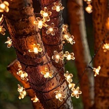 Solar 5m 50 LED Papatya Gün Işığı 8 Fonksiyonlu