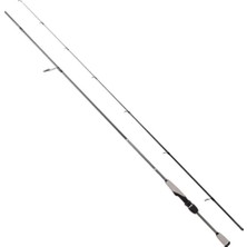 Ryuji Matrix Fuji 2.28M 5-25 gr 2p Light Spin Kamış