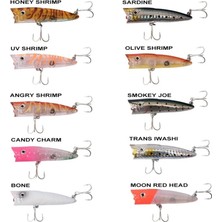 Ryuji Sea Popper 7cm 8.5gr Top Water Maket Yem