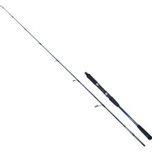 Ryuji Strobe Iı 1.98M 60-130GR 2p Jig Olta Kamışı