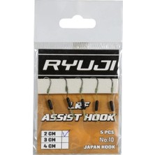 Ryuji Lrf Hırsız Assist Hook Iğne No:10
