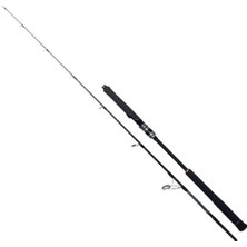Ryuji Seawolf 1.98M 30-150GR 2p Jig Kamışı