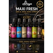 Ebrayn Premium 6'lı Kokulu Oto Araç Içi Sprey Oto Kokusu Premium Koku Seti 150 ml