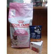 SY Royal Canin Mother And Babycat Kedi Kuru Maması 2 Kg+Şarjlı Otomatik Kedi Oyun Topu+5 Adet Felix Tavuklu Yaş Mama