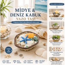 Aslanoğlu Store Küçük - Kare - Ahşap Sepetli Renkli Mix Midye - Deniz Kabuk Vazo Taşı
