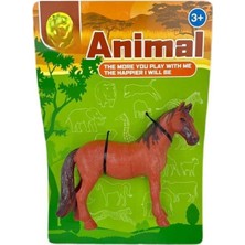 Aslanoğlu Store Bma-5-6-7-8 Tekli Çiftlik Hayvanları