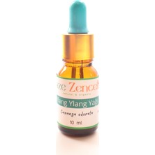 Taze Zencefil Ylang Ylang Yağı