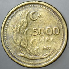 Banknoting 5000 Lira 1995 Kalın Tip.