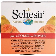 1001 Yetişkin Köpek Konservesi 150 gr Tavuk Etli + Papaya