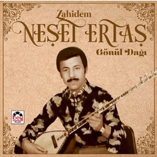 1001 Neşet Ertaş Zahidem Gönül Dağı Plak