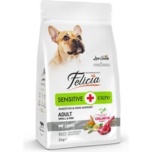 1001 Az Tahıllı 3 kg Yetişkin Kuzulu Small/mini Hypoallergenic Köpek Maması