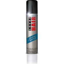 1001 Fixing Spray